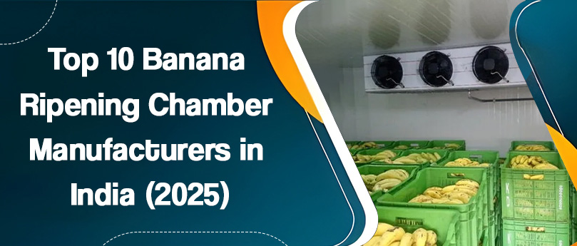 Top 10 Banana Ripening Chamber Manufacturers in India (2025)